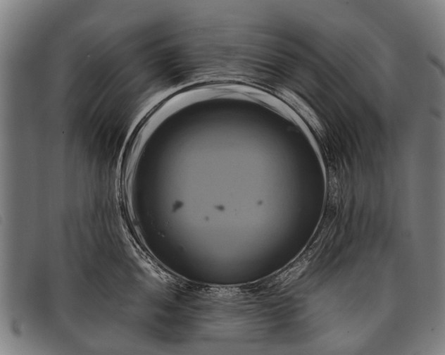 X0000097861052200804041524