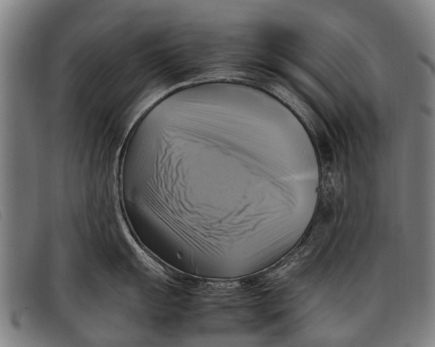 X0000097861055200804041524