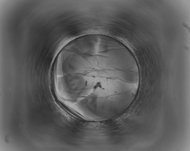 X0000097861056200804041524