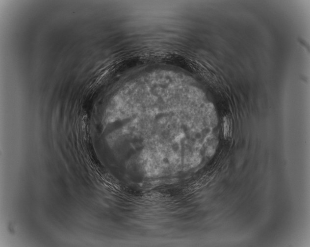 X0000097861059200804041523