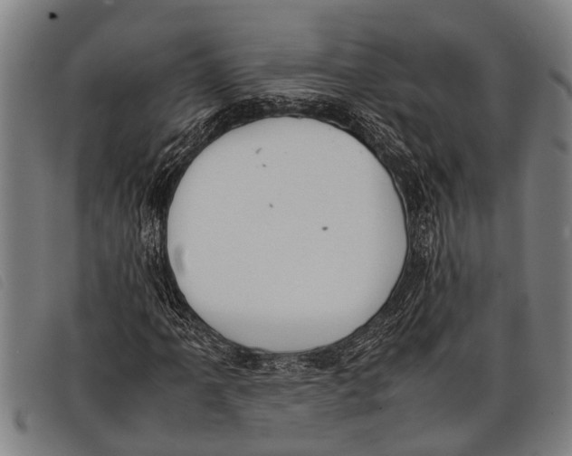 X0000097861061200804041523