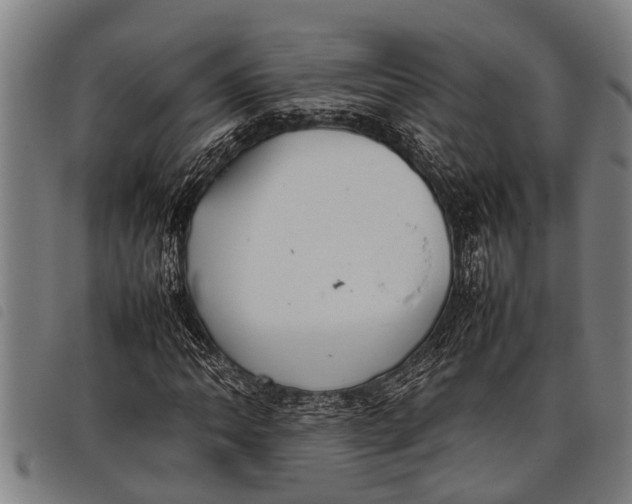 X0000097861062200804041523