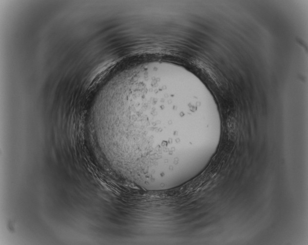 X0000097861064200804041523