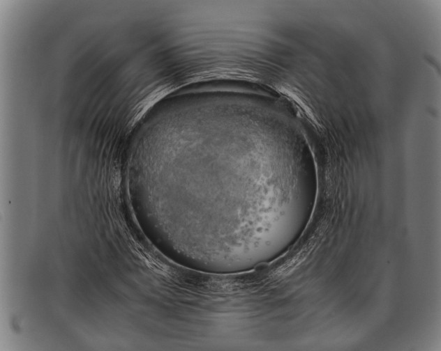 X0000097861065200804041523