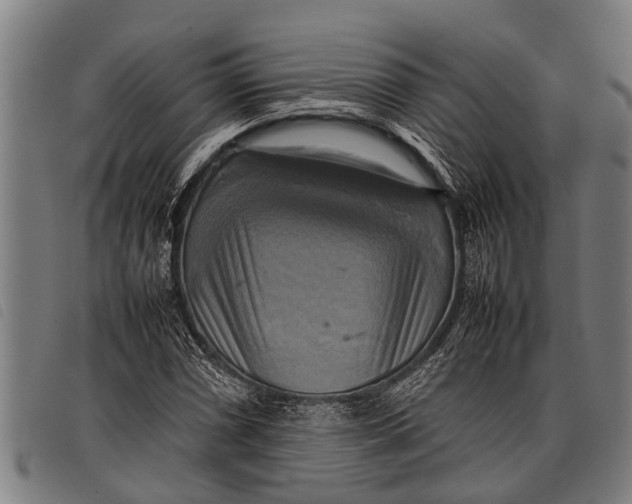 X0000097861066200804041523