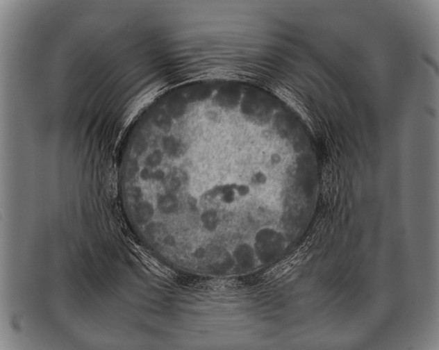 X0000097861067200804041523