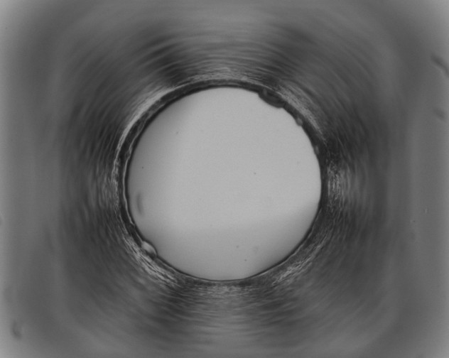 X0000097861068200804041523