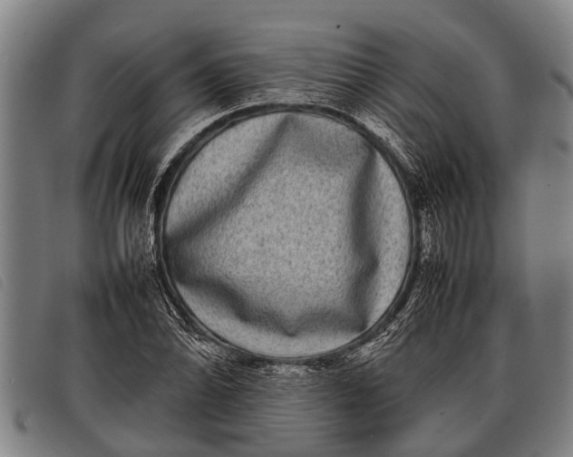 X0000097861070200804041523