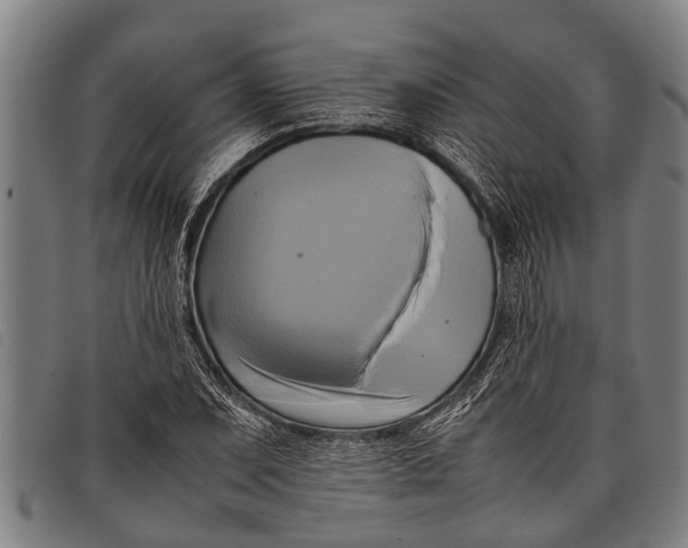 X0000097861071200804041523