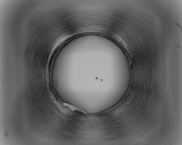 X0000097861072200804041523