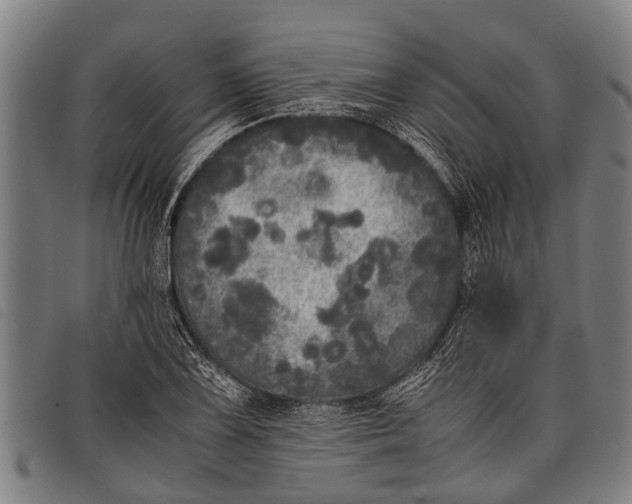 X0000097861075200804041523