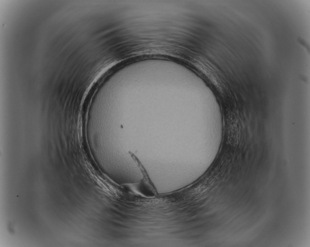 X0000097861076200804041523