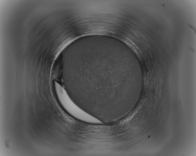 X0000097861077200804041523