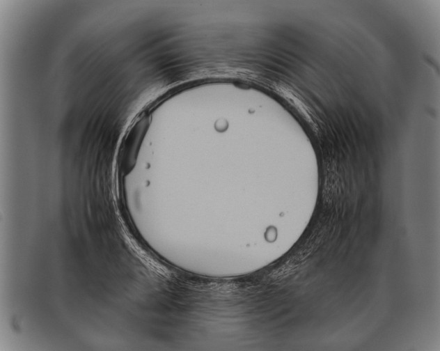 X0000097861080200804041523