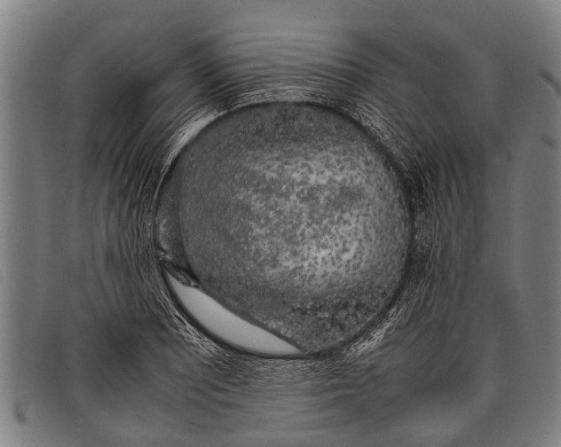 X0000097861081200804041523