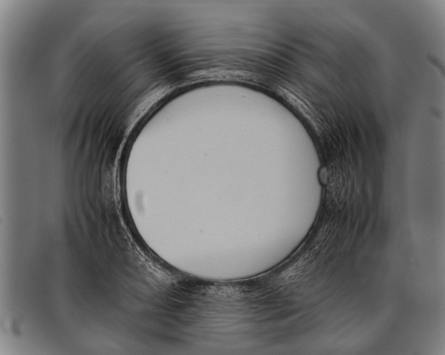 X0000097861082200804041523