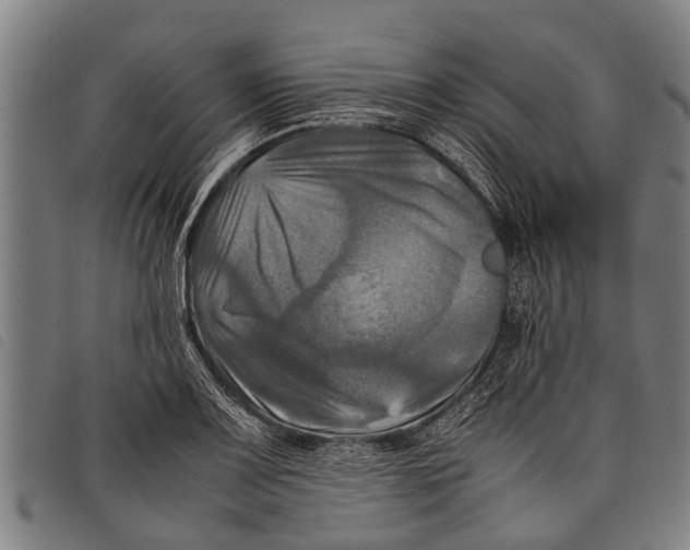 X0000097861083200804041523