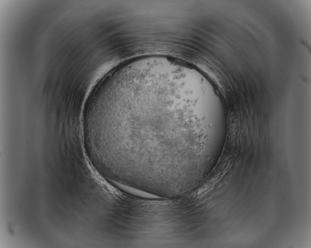 X0000097861088200804041523