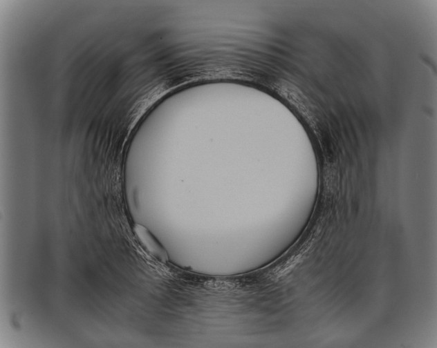 X0000097861089200804041523