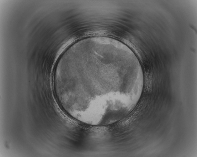 X0000097861090200804041523