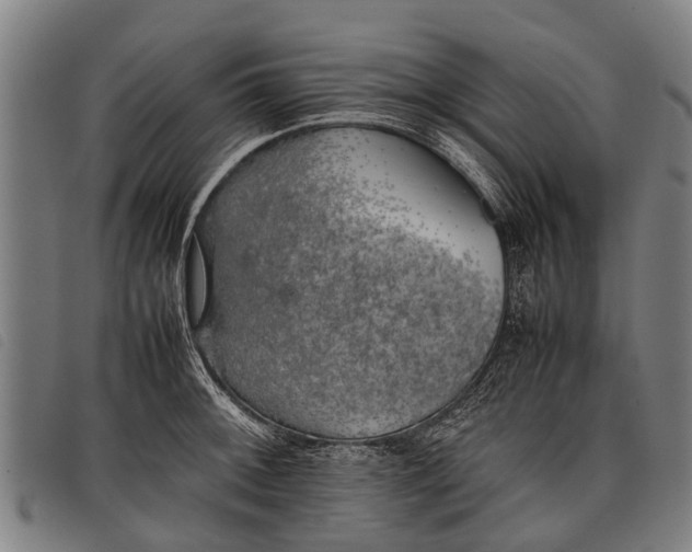 X0000097861092200804041523