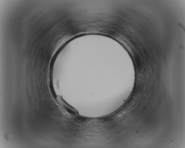 X0000097861093200804041523