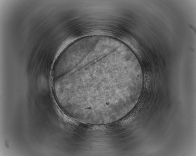 X0000097861094200804041523