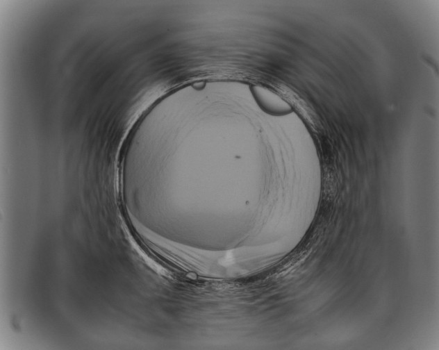 X0000097861095200804041523