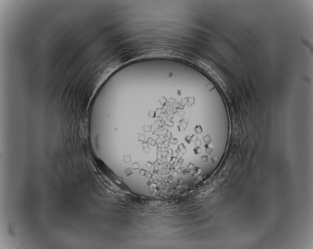 X0000097861097200804041523