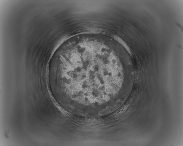 X0000097861099200804041523