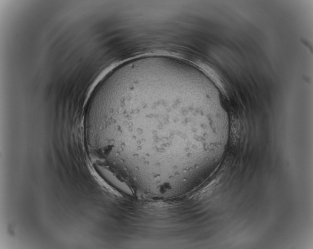 X0000097861100200804041523