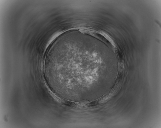 X0000097861101200804041523