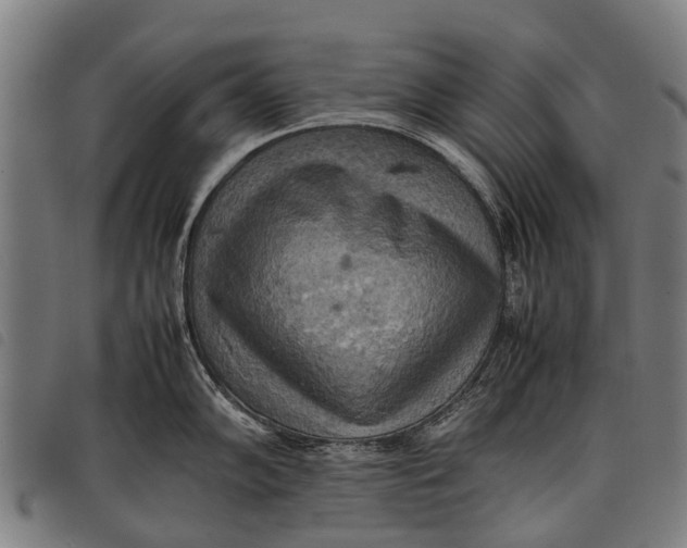 X0000097861102200804041523