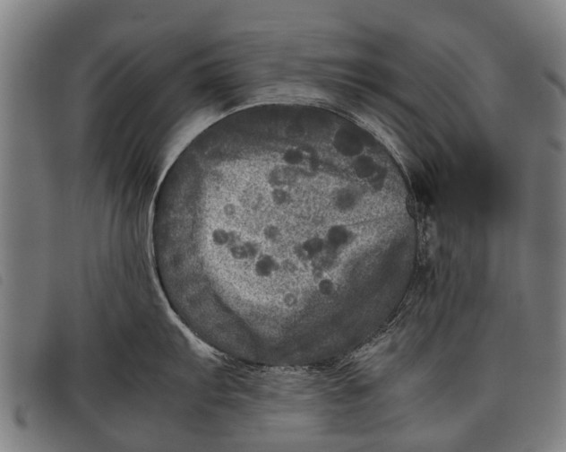 X0000097861103200804041523