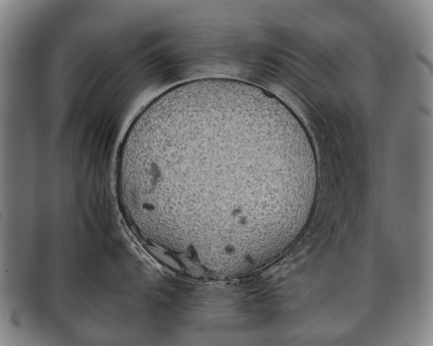 X0000097861104200804041523