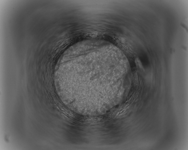 X0000097861105200804041522