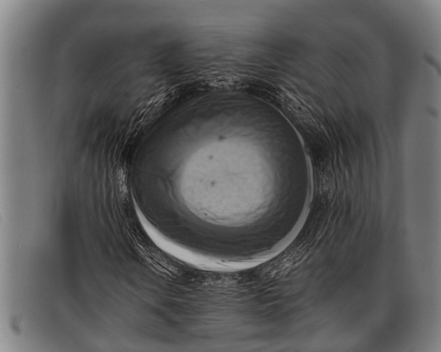 X0000097861106200804041522