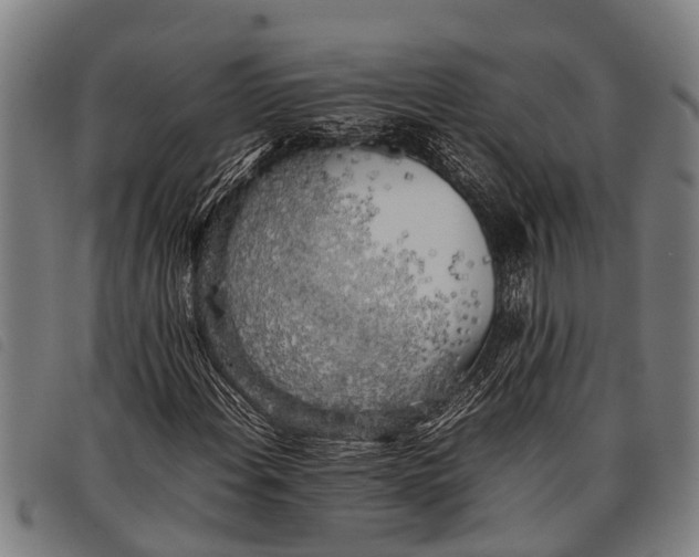 X0000097861108200804041522