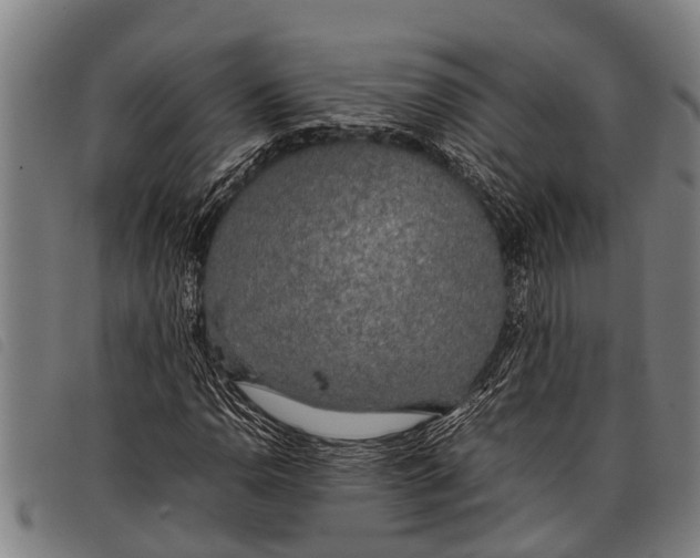 X0000097861110200804041522