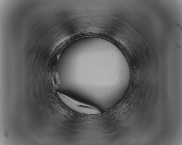 X0000097861112200804041522