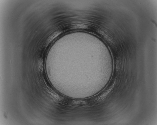 X0000097861113200804041522