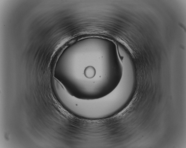 X0000097861114200804041522