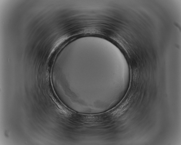 X0000097861115200804041522