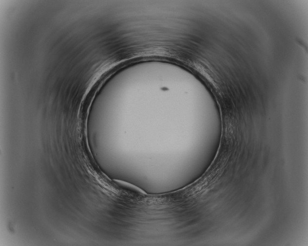 X0000097861116200804041522