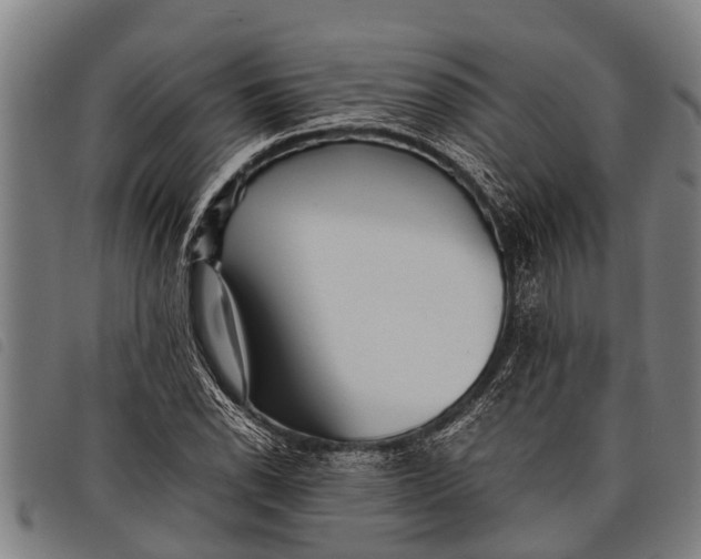 X0000097861118200804041522