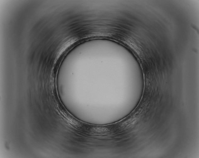 X0000097861119200804041522