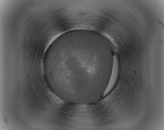 X0000097861120200804041522