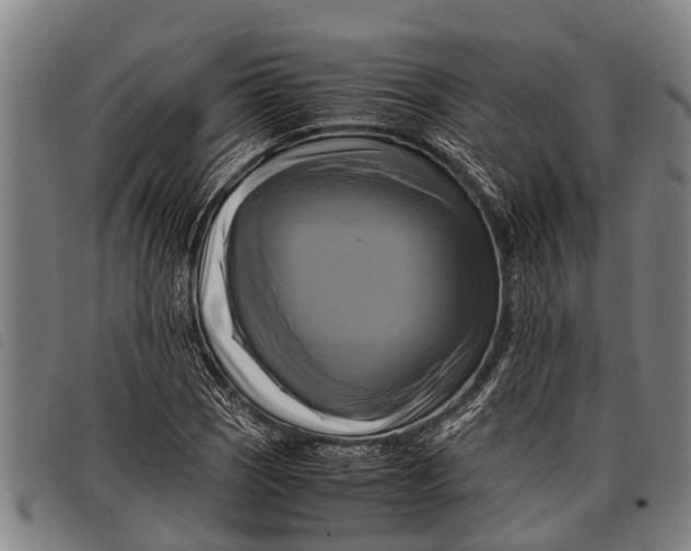 X0000097861121200804041522