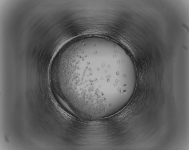 X0000097861124200804041522