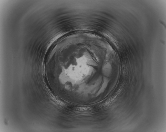 X0000097861125200804041522